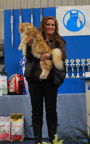 Kayeen in Utrecht BIS bei Neocat