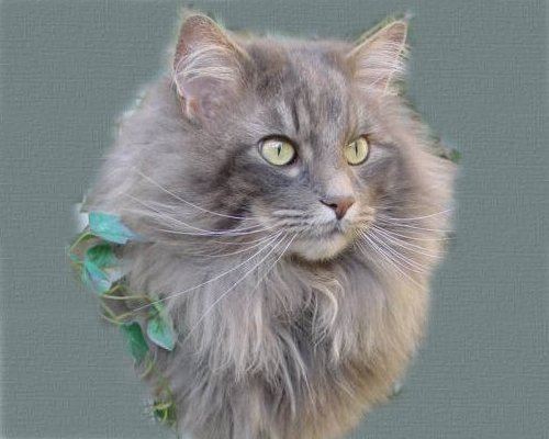 Odi im M&auml;rz 2003