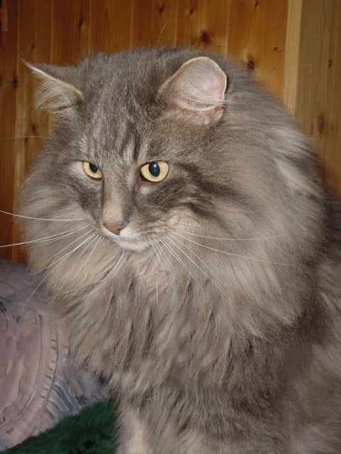 Foto vom Januar 2003